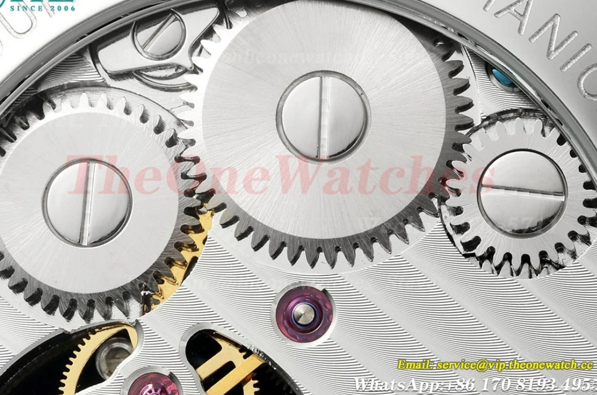 Sky Dial 42mm SS Complications Tourb RMSF LE Starry 0420